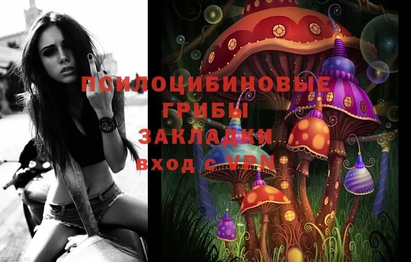 kraken как зайти  Певек  Псилоцибиновые грибы Magic Shrooms 